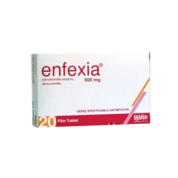 Enfexia