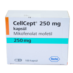 CellCept 250