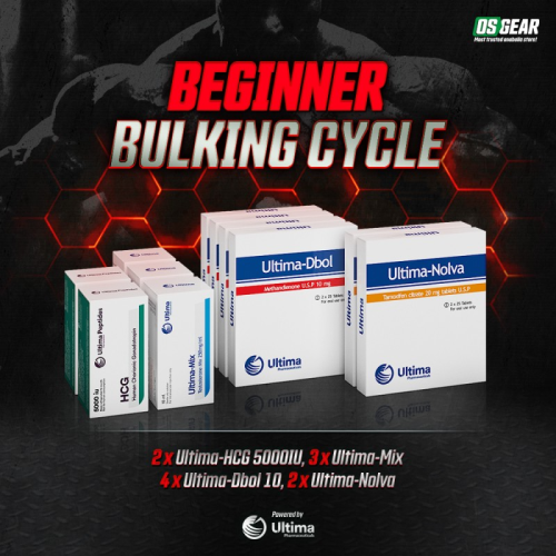 Beginner Bulking Cycle