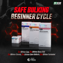 Safe Bulking Beginner Cycle