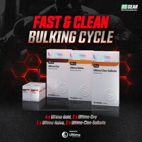 Fast & Clean Bulking Cycle