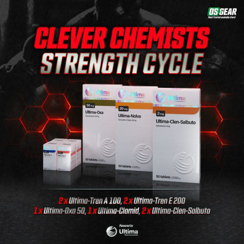 Clever Chemists Strength Cycle