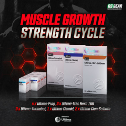 Muscle Growth Strength Cycle