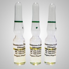TESTOSTERONE ENANTHATE 250 | 10 AMPS (1 ML AMPOULE (250 MG/ML))